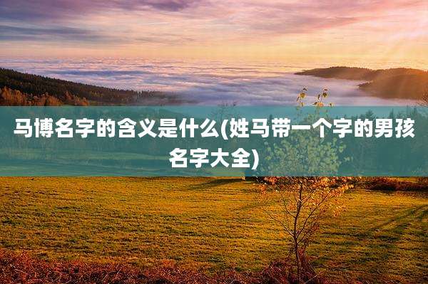马博名字的含义是什么(姓马带一个字的男孩名字大全)