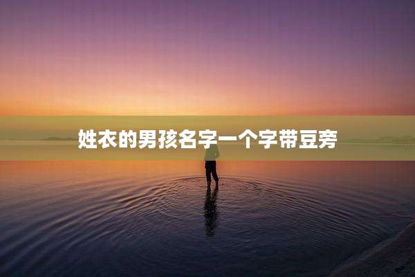 姓衣的男孩名字一个字带豆旁