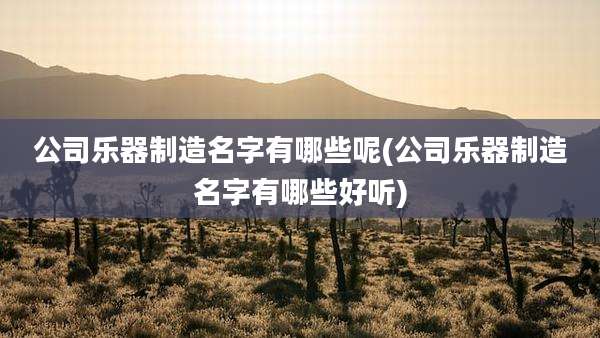 公司乐器制造名字有哪些呢(公司乐器制造名字有哪些好听)