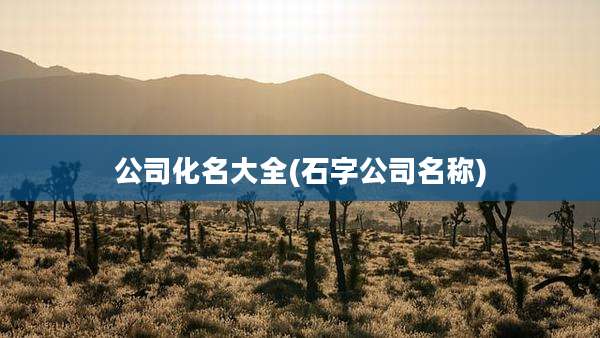公司化名大全(石字公司名称)