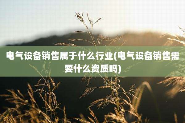 电气设备销售属于什么行业(电气设备销售需要什么资质吗)