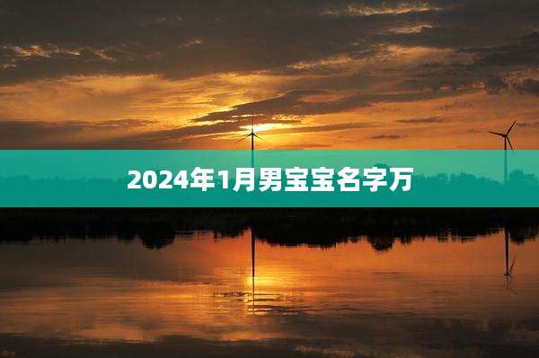 2024年1月男宝宝名字万