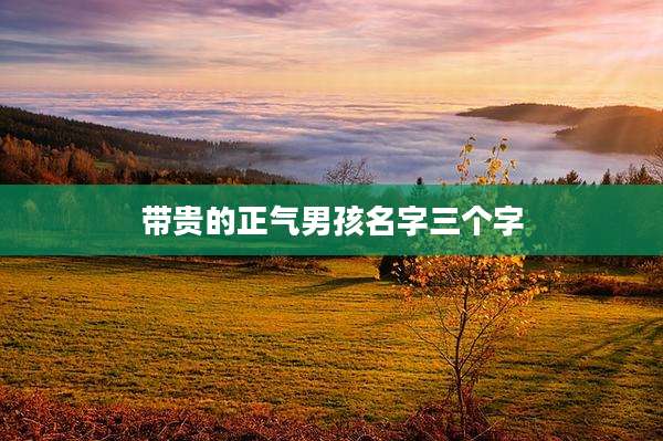 带贵的正气男孩名字三个字