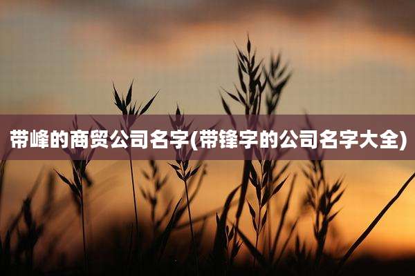 带峰的商贸公司名字(带锋字的公司名字大全)