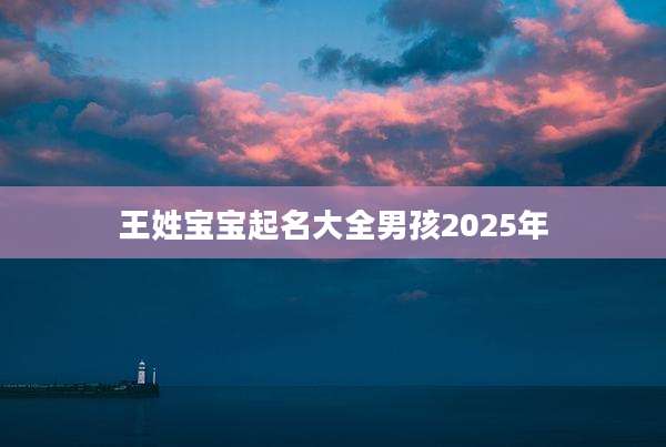 王姓宝宝起名大全男孩2025年