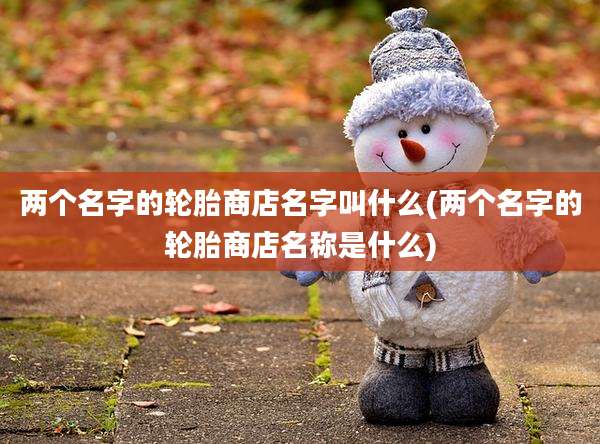 两个名字的轮胎商店名字叫什么(两个名字的轮胎商店名称是什么)