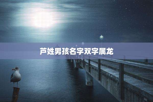 芦姓男孩名字双字属龙