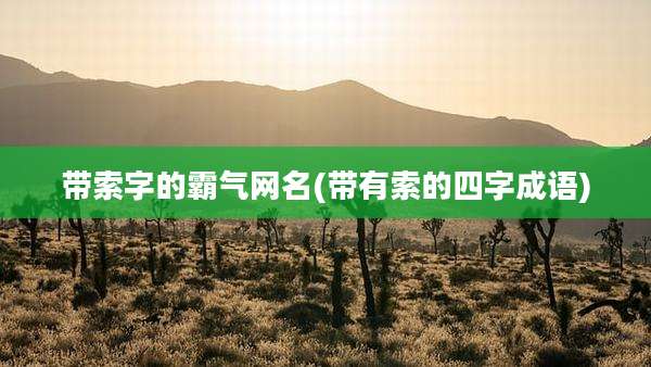 带索字的霸气网名(带有索的四字成语)