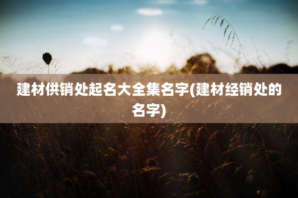 建材供销处起名大全集名字(建材经销处的名字)