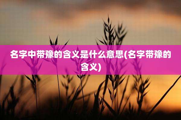 名字中带豫的含义是什么意思(名字带豫的含义)