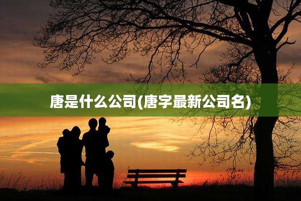 唐是什么公司(唐字最新公司名)
