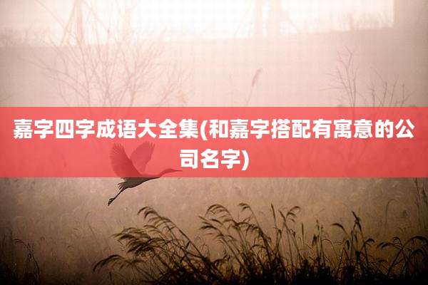嘉字四字成语大全集(和嘉字搭配有寓意的公司名字)