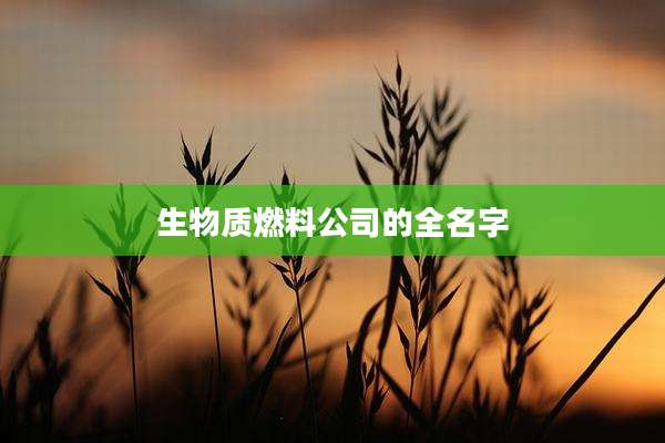 生物质燃料公司的全名字