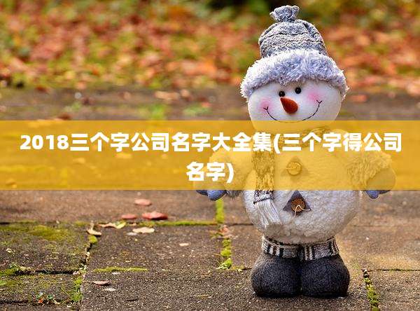 2018三个字公司名字大全集(三个字得公司名字)
