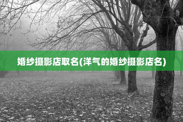 婚纱摄影店取名(洋气的婚纱摄影店名)
