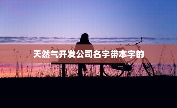 天然气开发公司名字带本字的