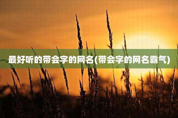 最好听的带会字的网名(带会字的网名霸气)