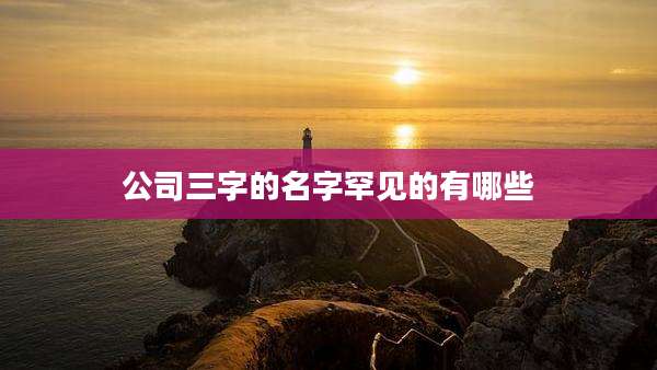 公司三字的名字罕见的有哪些