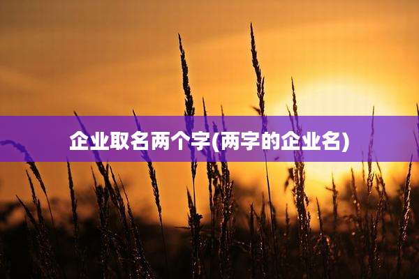 企业取名两个字(两字的企业名)