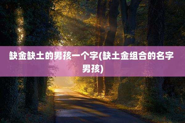 缺金缺土的男孩一个字(缺土金组合的名字 男孩)