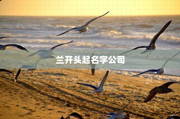 兰开头起名字公司