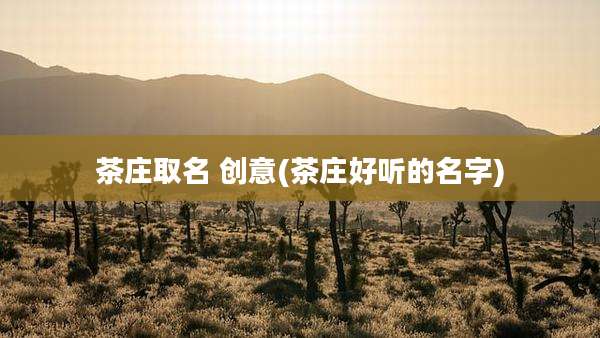 茶庄取名 创意(茶庄好听的名字)