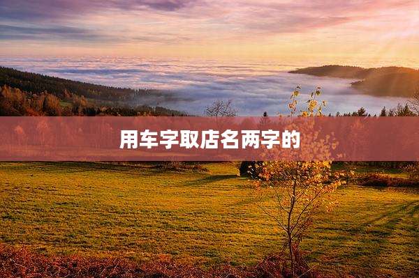 用车字取店名两字的