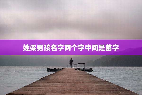 姓梁男孩名字两个字中间是菡字