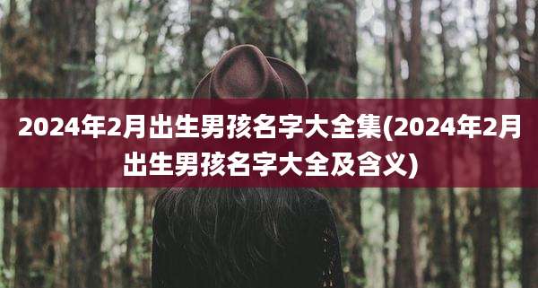 2024年2月出生男孩名字大全集(2024年2月出生男孩名字大全及含义)