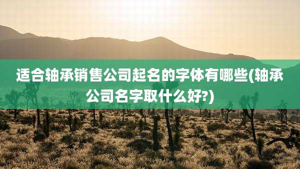 适合轴承销售公司起名的字体有哪些(轴承公司名字取什么好?)