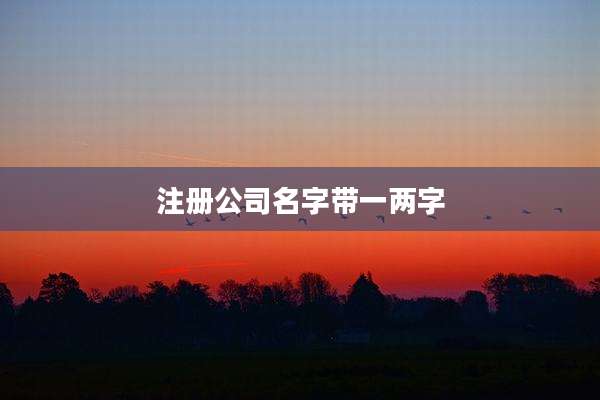 注册公司名字带一两字