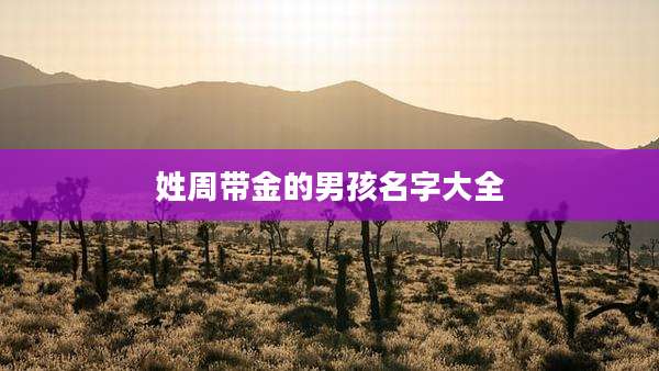 姓周带金的男孩名字大全