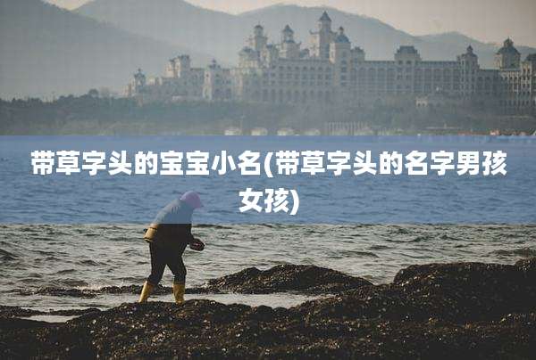 带草字头的宝宝小名(带草字头的名字男孩女孩)