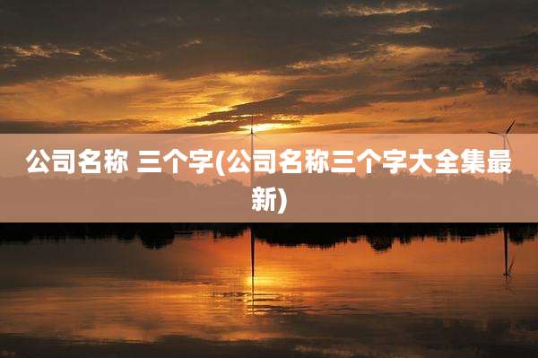 公司名称 三个字(公司名称三个字大全集最新)