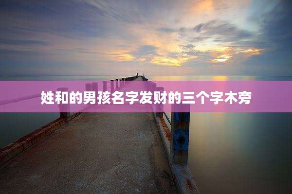 姓和的男孩名字发财的三个字木旁