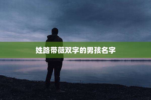姓路带薇双字的男孩名字