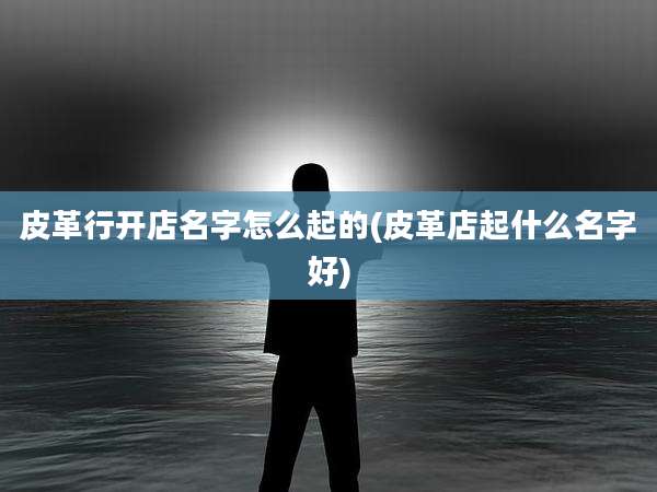 皮革行开店名字怎么起的(皮革店起什么名字好)