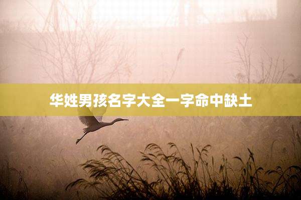 华姓男孩名字大全一字命中缺土