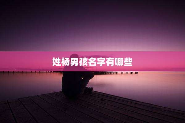 姓杨男孩名字有哪些