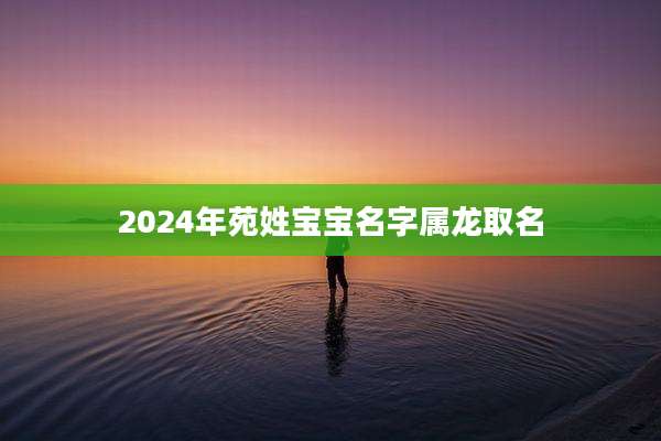 2024年苑姓宝宝名字属龙取名