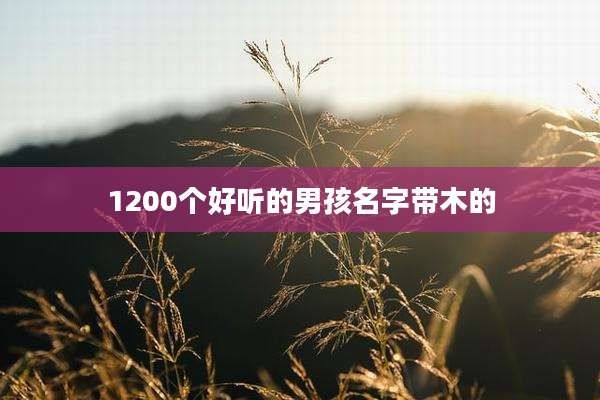 1200个好听的男孩名字带木的