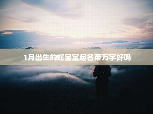 1月出生的蛇宝宝起名带万字好吗