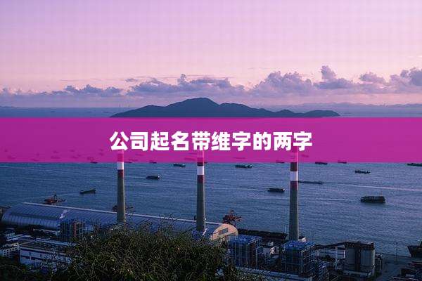 公司起名带维字的两字