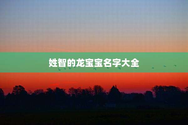 姓智的龙宝宝名字大全