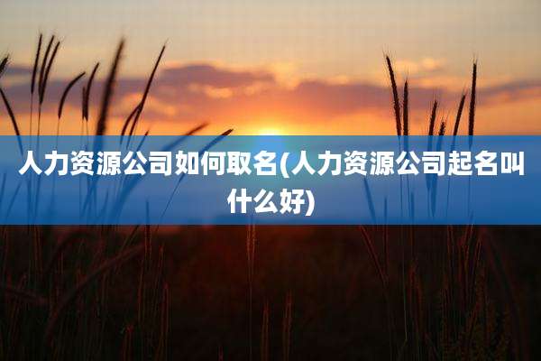 人力资源公司如何取名(人力资源公司起名叫什么好)