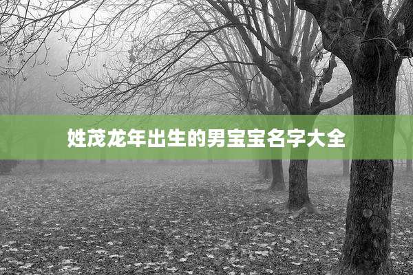 姓茂龙年出生的男宝宝名字大全
