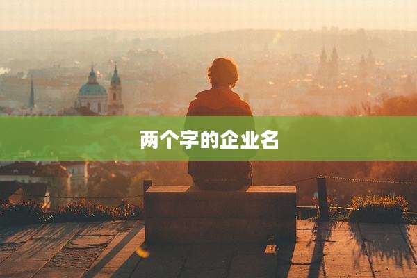 两个字的企业名