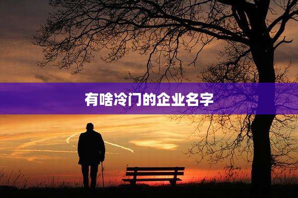 有啥冷门的企业名字
