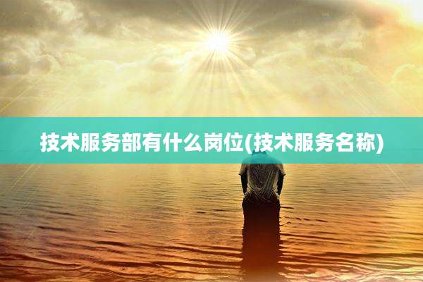 技术服务部有什么岗位(技术服务名称)