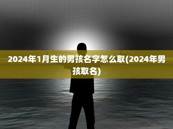 2024年1月生的男孩名字怎么取(2024年男孩取名)